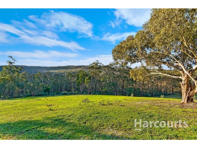 31 Synbank Road, Kersbrook SA 5231