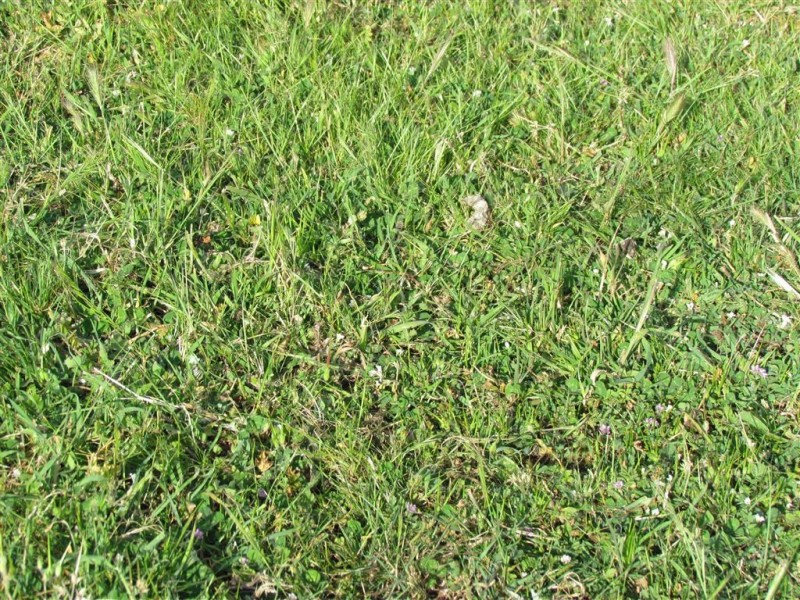 Lot 1 Harveys Quarry Road, Williamstown SA 5351