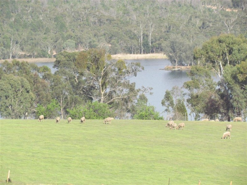 Lot 2 Harveys Quarry Road, Williamstown SA 5351