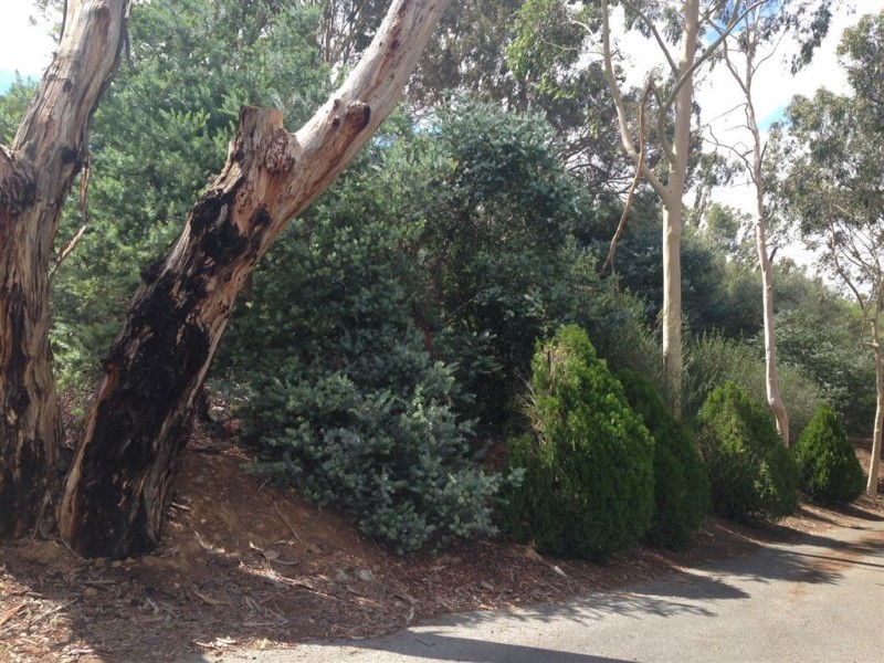 Lot 7 Wright Place, Clare SA 5453