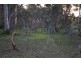 Lot 2 Yettie Road, Cockatoo Valley SA 5351