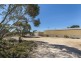 61 Angaston-Swan Reach Road, Sedan SA 5353