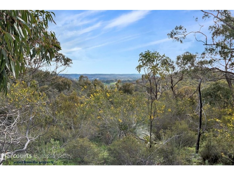 263 Warren Road, Williamstown SA 5351