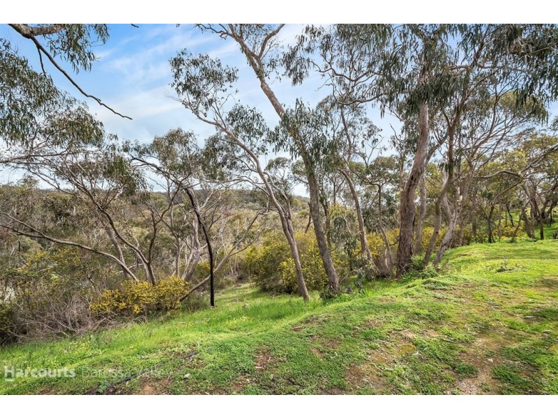 263 Warren Road, Williamstown SA 5351