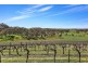 471 Hutton Vale Road, Angaston SA 5353
