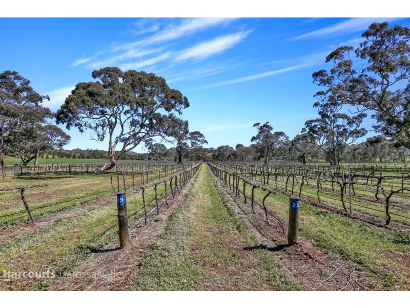 471 Hutton Vale Road, Angaston SA 5353