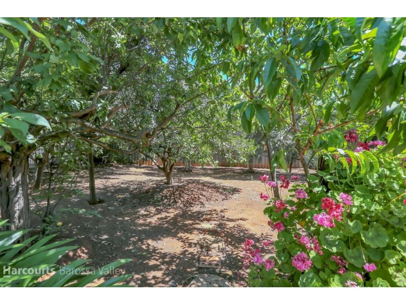 28 Krieg Road, Evanston Park SA 5116