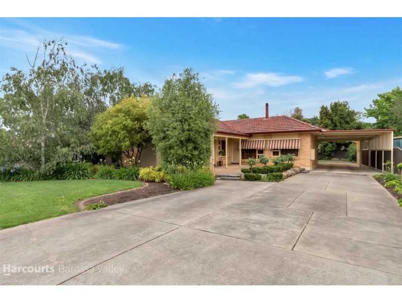 12 Buna Terrace, Nuriootpa SA 5355