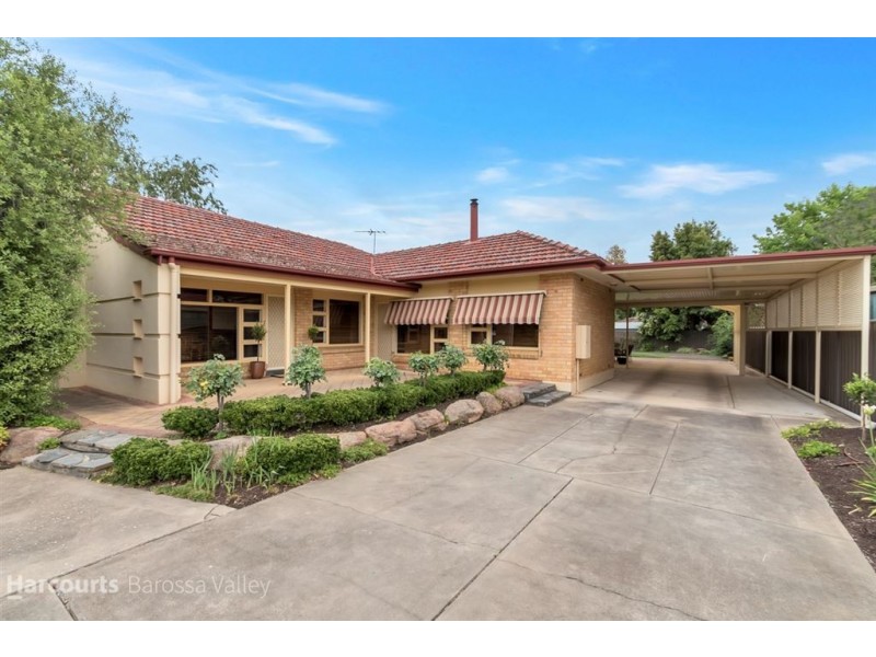 12 Buna Terrace, Nuriootpa SA 5355