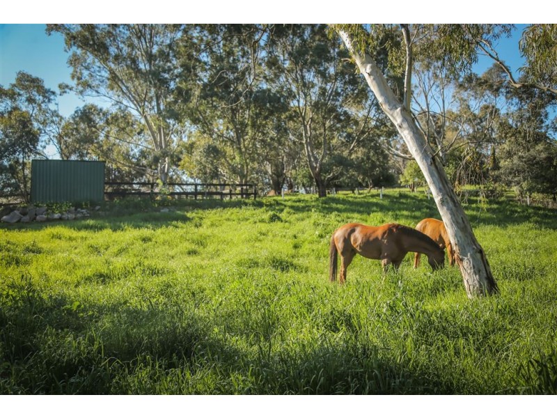 172 One Tree Hill Road, Golden Grove SA 5125
