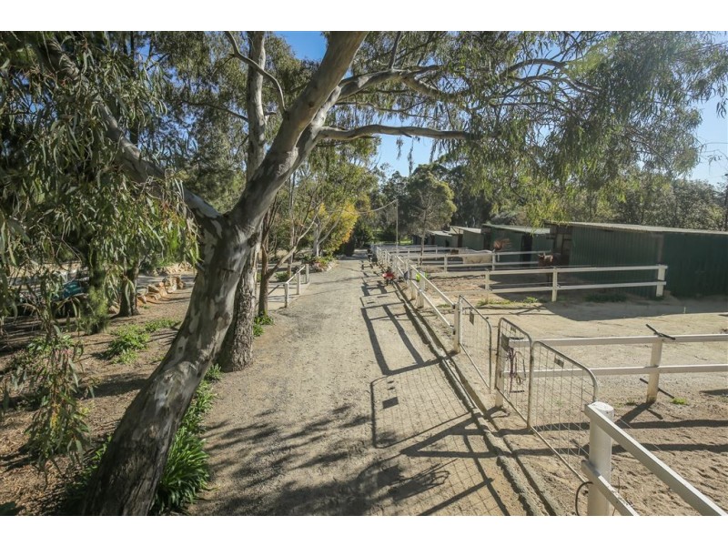 172 One Tree Hill Road, Golden Grove SA 5125