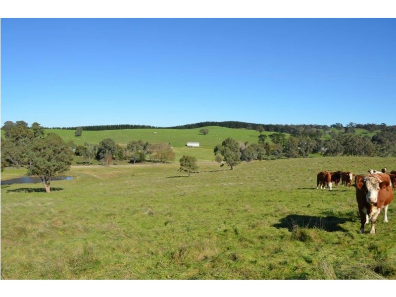 Lot 6 Manser Road, Pewsey Vale via Williamstown, Williamstown SA 5351