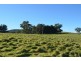 Lot 6 Manser Road, Pewsey Vale via Williamstown, Williamstown SA 5351