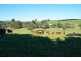Lot 6 Manser Road, Pewsey Vale via Williamstown, Williamstown SA 5351