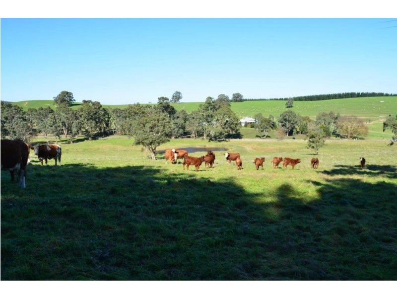 Lot 6 Manser Road, Pewsey Vale via Williamstown, Williamstown SA 5351