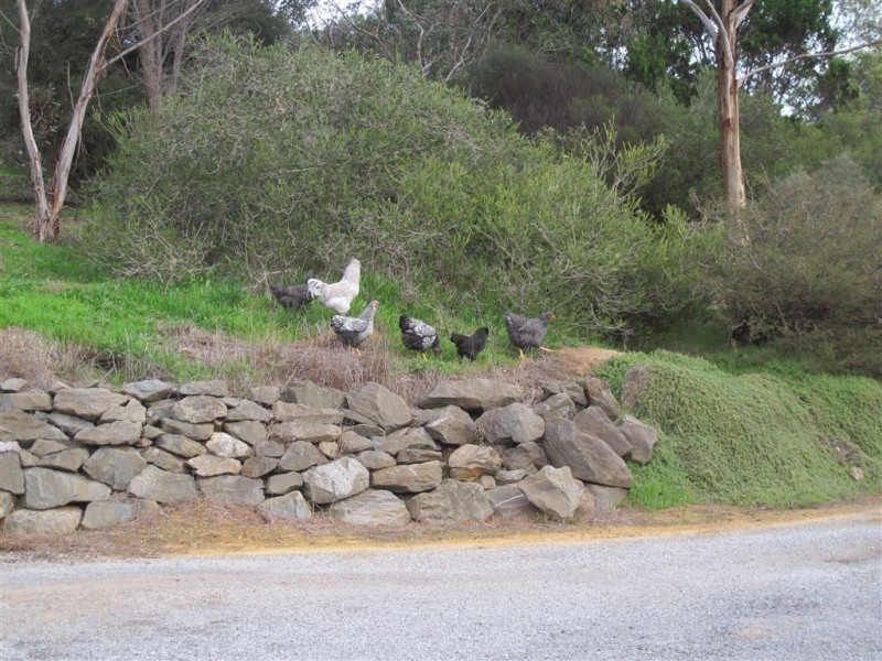 85 Bangor Road, Willunga SA 5172