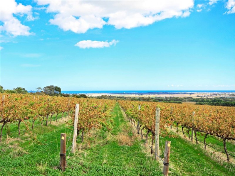 263 Ryan Road, Sellicks Hill SA 5174