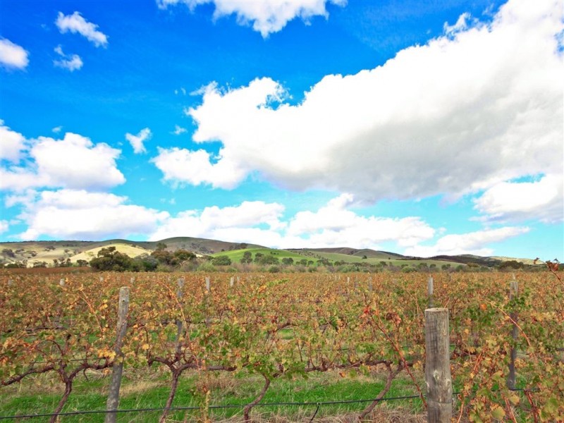 263 Ryan Road, Sellicks Hill SA 5174