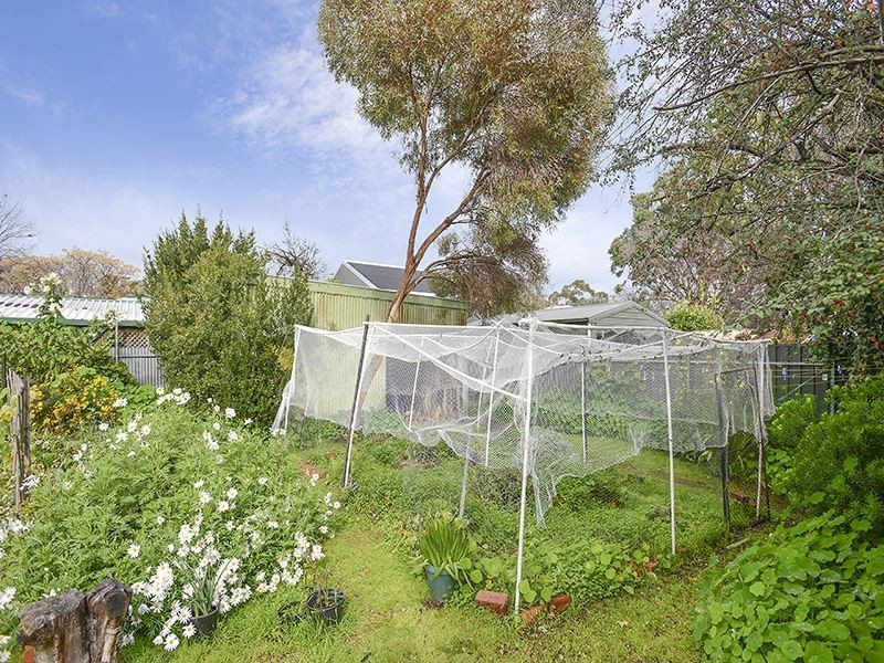 52 Marlborough Road, Westbourne Park SA 5041