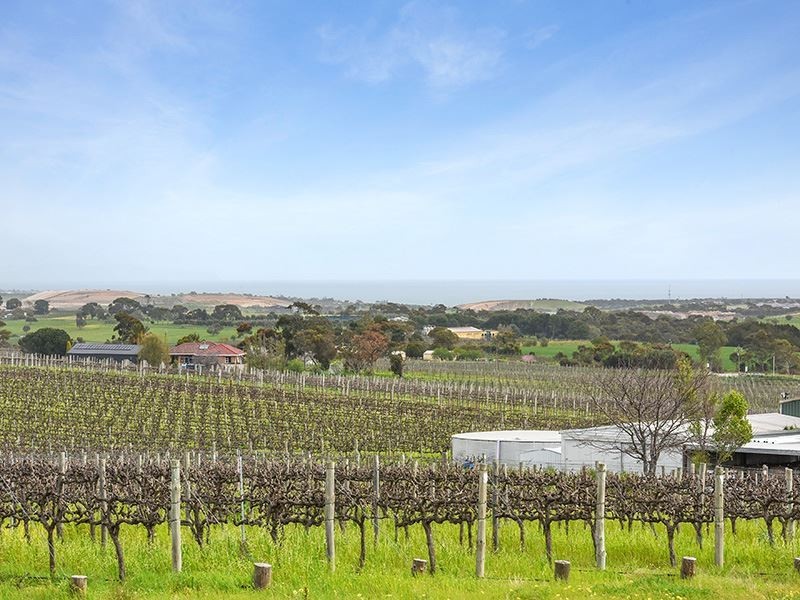 180 Seaview Road, Mclaren Vale SA 5171