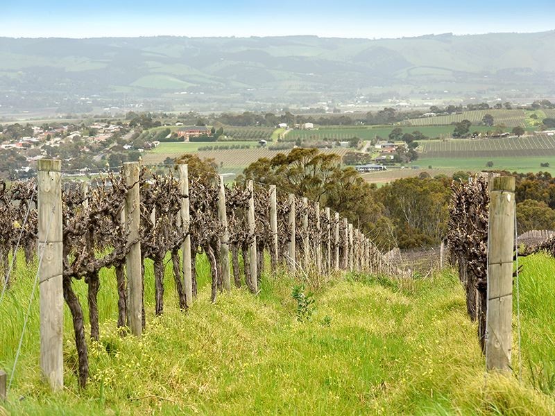 180 Seaview Road, Mclaren Vale SA 5171