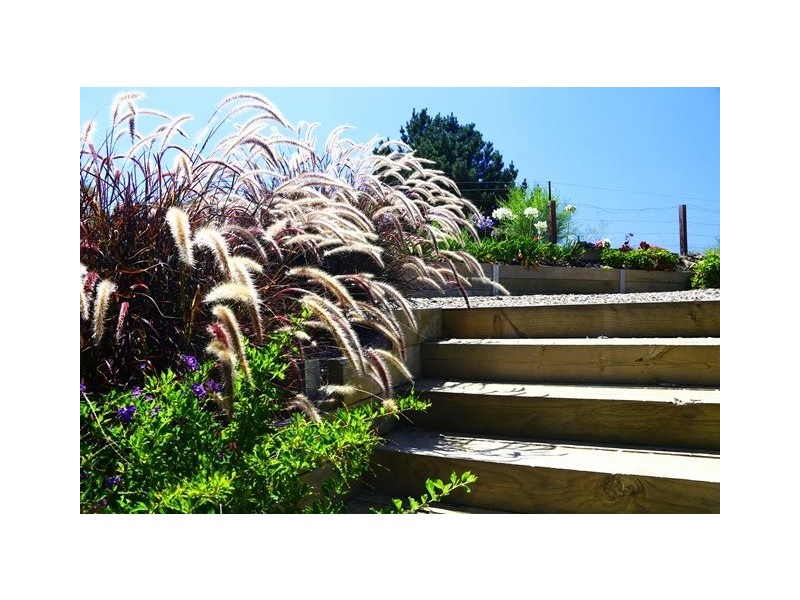 6 Eyre Court, Mount Compass SA 5210