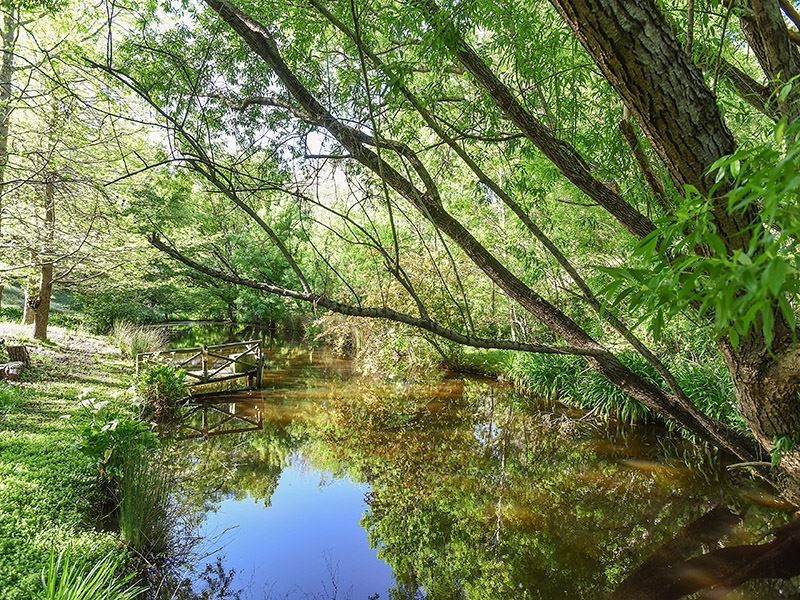 13 Gould Road, Stirling SA 5152