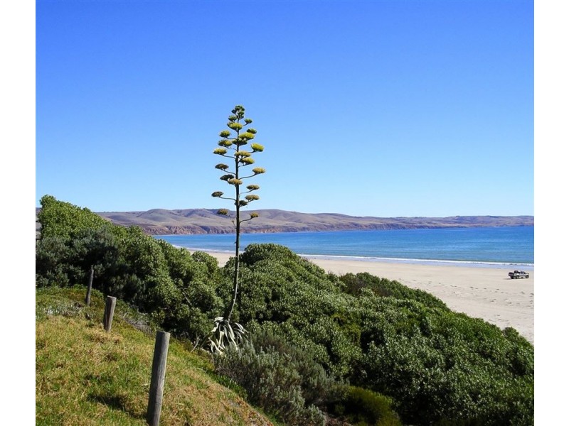 174 Esplanade, Aldinga Beach SA 5173