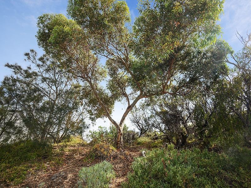 22/209 Esplanade, Aldinga Beach SA 5173