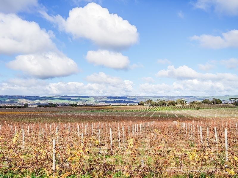 20A Harvest Drive, Mclaren Vale SA 5171