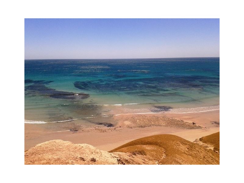 19 Standfield Road, Aldinga Beach SA 5173