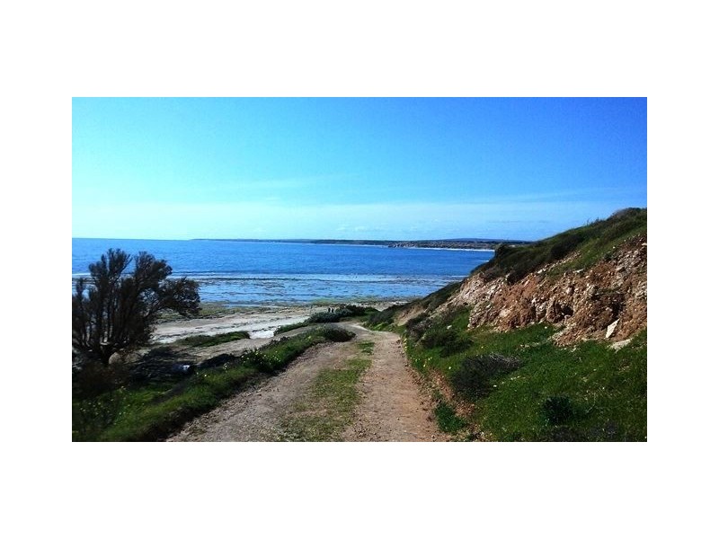 19 Standfield Road, Aldinga Beach SA 5173