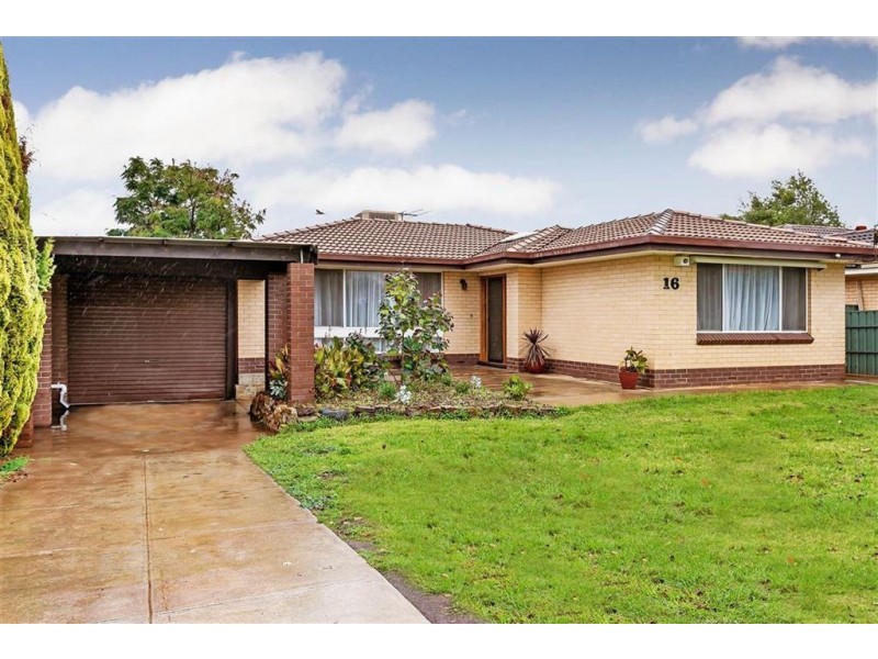 16 Dundee Road, Modbury SA 5092