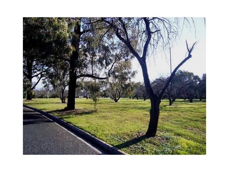 12 Waninga Drive, Holden Hill SA 5088