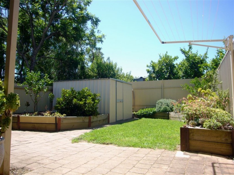 12 Gordon Road, Prospect SA 5082