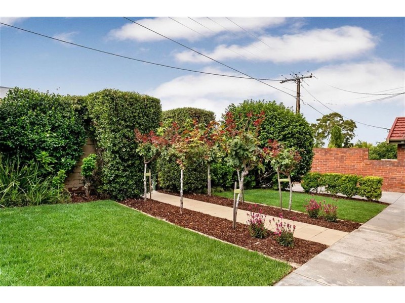 38 Cochrane Terrace, Prospect SA 5082