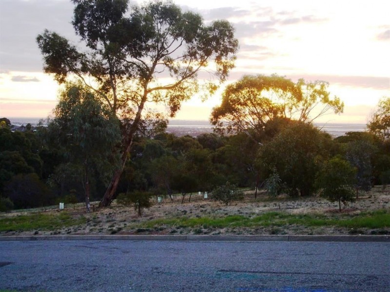 11A Conygham Avenue, Modbury Heights SA 5092