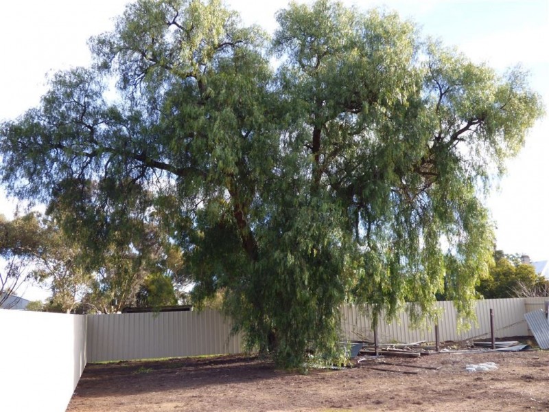 2 Sisson Street, Natimuk VIC 3409