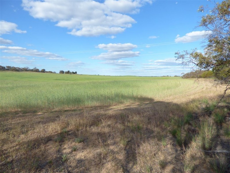 Hopetoun 1 Burrion Road, Hopetoun VIC 3396
