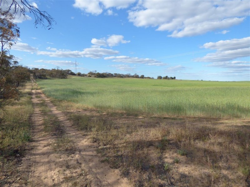 Hopetoun 1 Burrion Road, Hopetoun VIC 3396