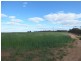 Hopetoun 1 Burrion Road, Hopetoun VIC 3396
