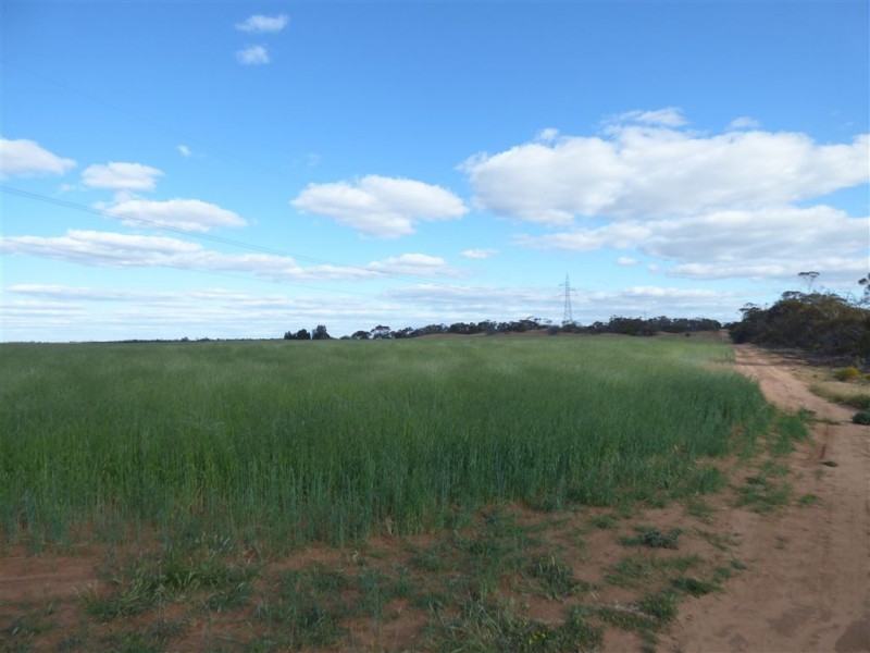 Hopetoun 1 Burrion Road, Hopetoun VIC 3396
