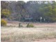 Hopetoun 1 Burrion Road, Hopetoun VIC 3396