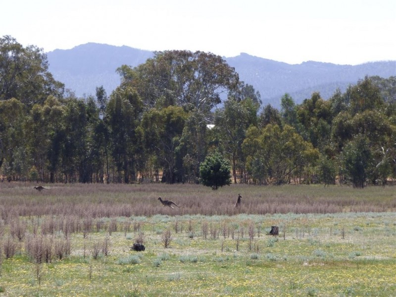 3006 Nothern Grampians Road, Wartook VIC 3401