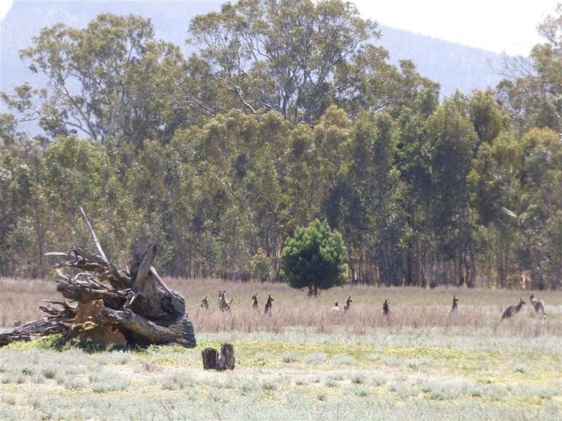 3006 Nothern Grampians Road, Wartook VIC 3401