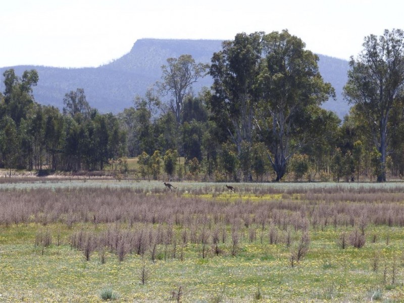 3006 Nothern Grampians Road, Wartook VIC 3401