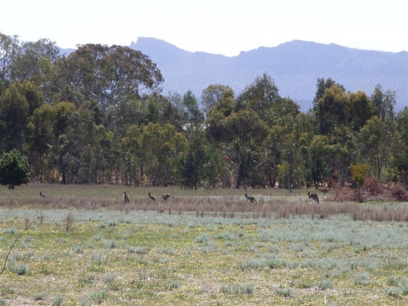 3006 Nothern Grampians Road, Wartook VIC 3401