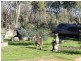 3008 Northern Grampians Road, Wartook VIC 3401