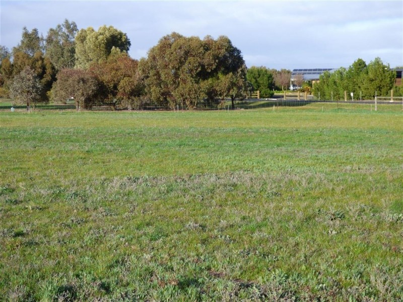 77 Kokoda Drive, Haven VIC 3401