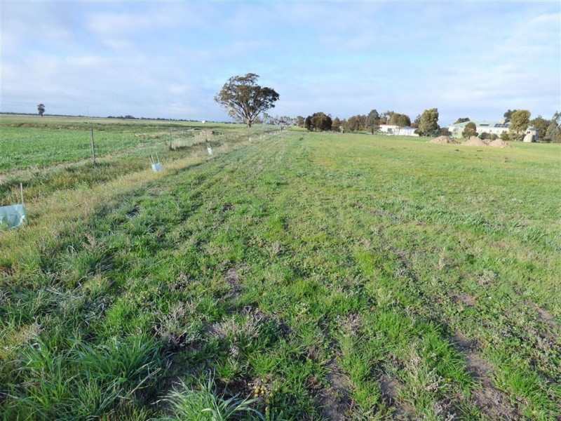 77 Kokoda Drive, Haven VIC 3401